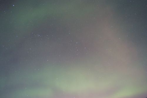 DSCF0578
