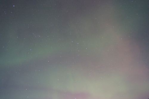 DSCF0581