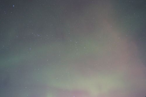DSCF0582