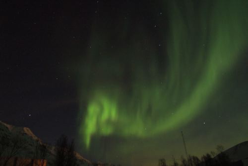 DSCF0448