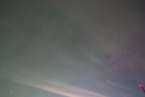 DSCF0590