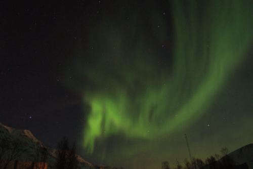 DSCF0449