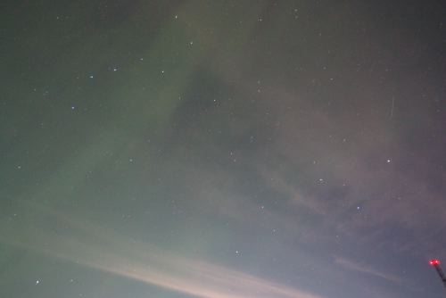 DSCF0597