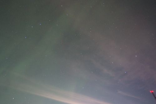 DSCF0599