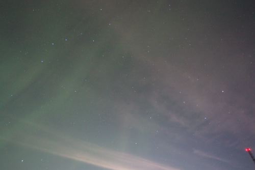 DSCF0601