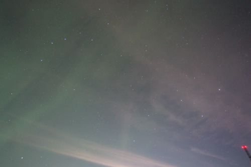 DSCF0602