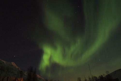 DSCF0450
