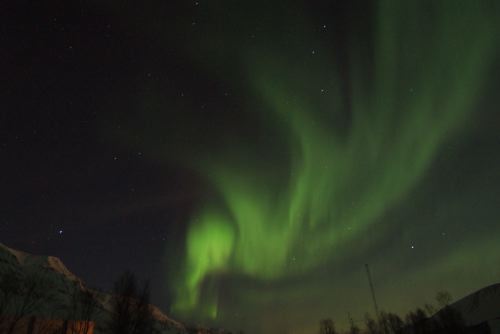 DSCF0453