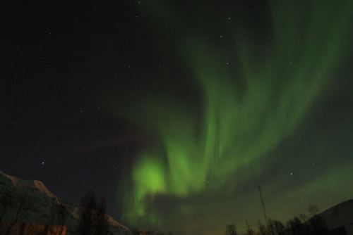 DSCF0454