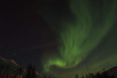 DSCF0457