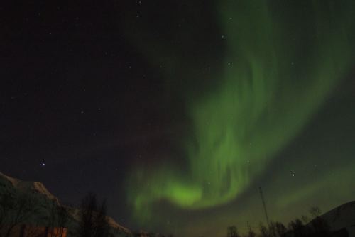 DSCF0458