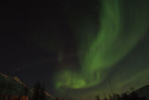 DSCF0460