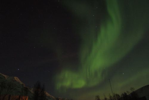 DSCF0461