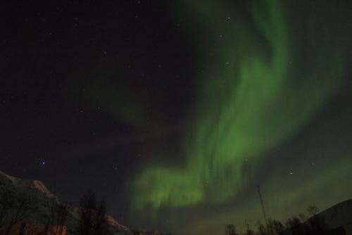 DSCF0462