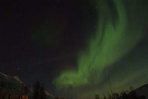 DSCF0464
