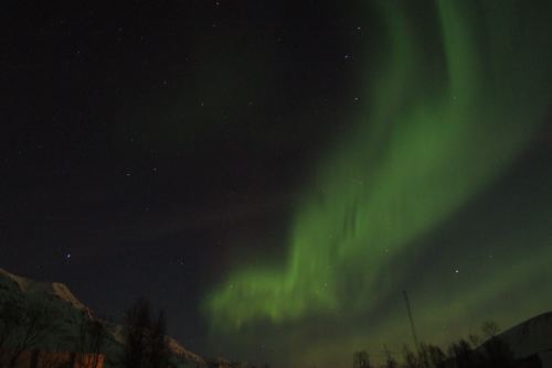 DSCF0465