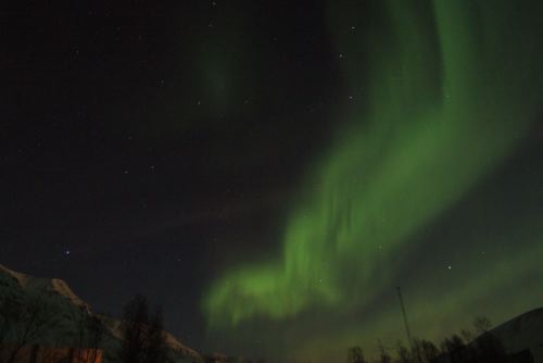 DSCF0466