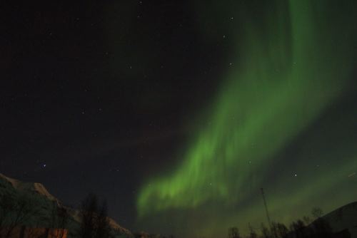 DSCF0467