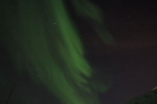 DSCF0468