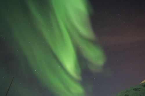 DSCF0470
