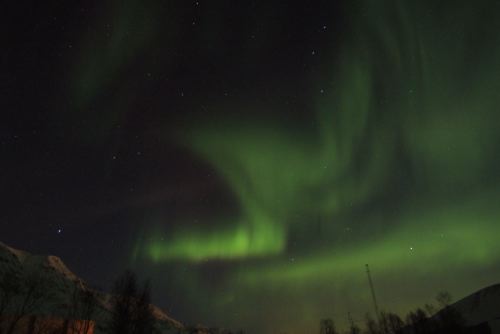 DSCF0437