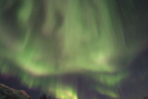 DSCF0477