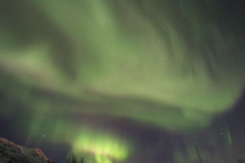 DSCF0482