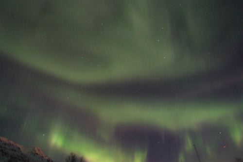 DSCF0490