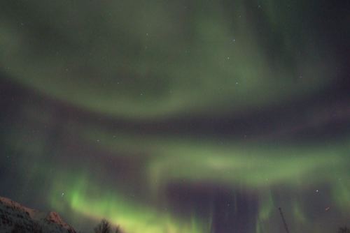 DSCF0491