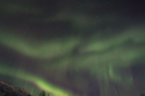 DSCF0498