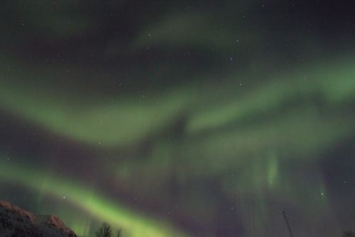 DSCF0499