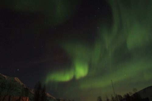 DSCF0440
