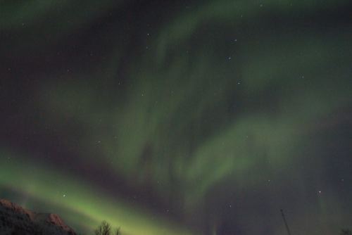 DSCF0507