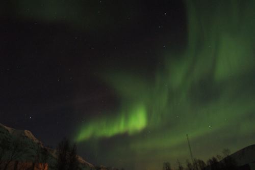 DSCF0441