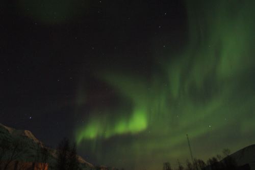 DSCF0442