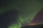 DSCF0561