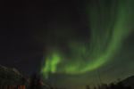 DSCF0446