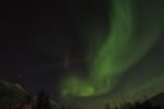 DSCF0460