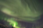DSCF0484