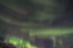 DSCF0494