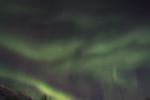 DSCF0498