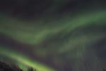 DSCF0501