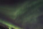 DSCF0503