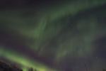 DSCF0504