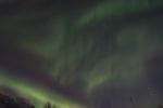 DSCF0505