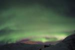 DSCF0519