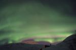DSCF0520