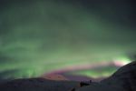 DSCF0521