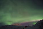 DSCF0523