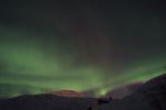 DSCF0529